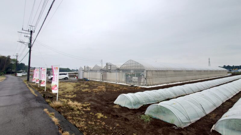 津田農園の画像