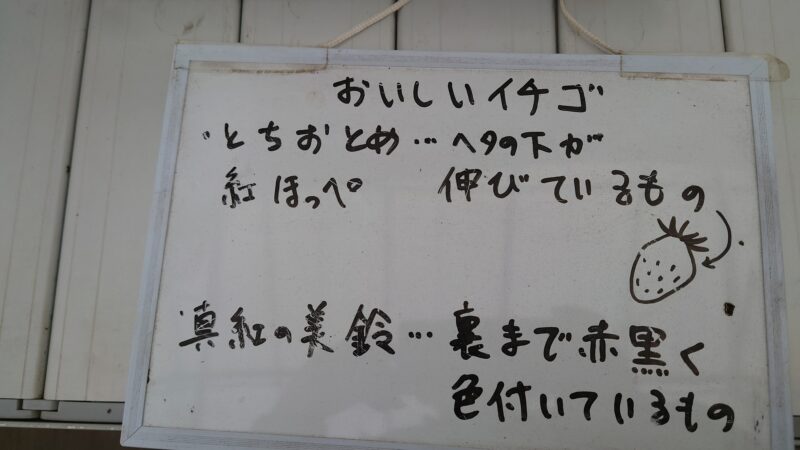 美味しいイチゴの見分け方の説明