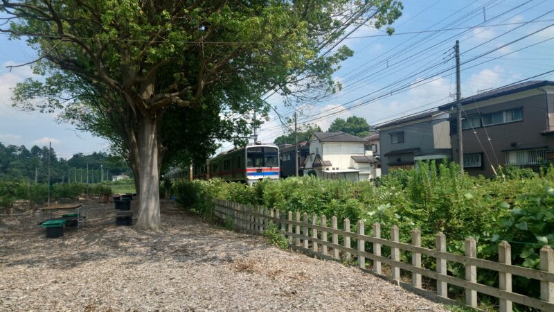 電車が見えるブルーベリー農園「あーみんの森」
