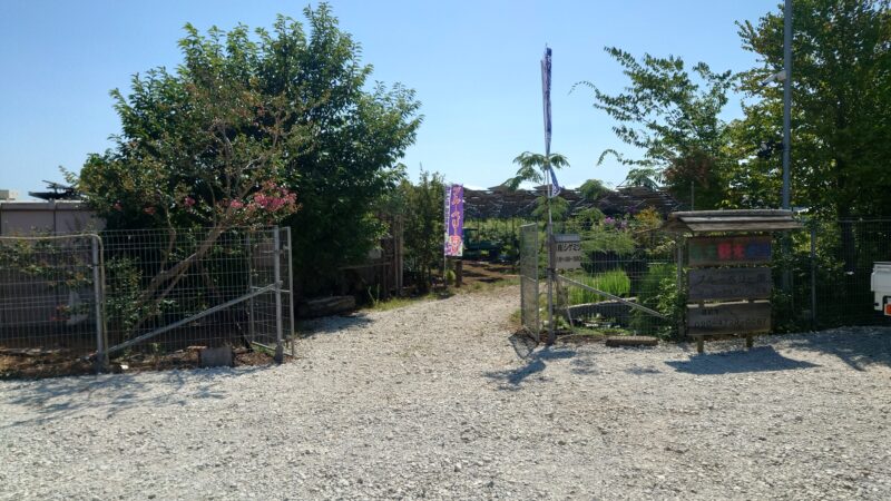 千葉八街「春夫観光農園」の入り口