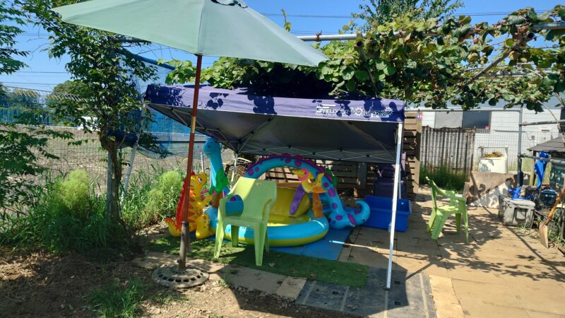 千葉八街ブルーベリー「春夫観光農園」の子供むけ遊具プール