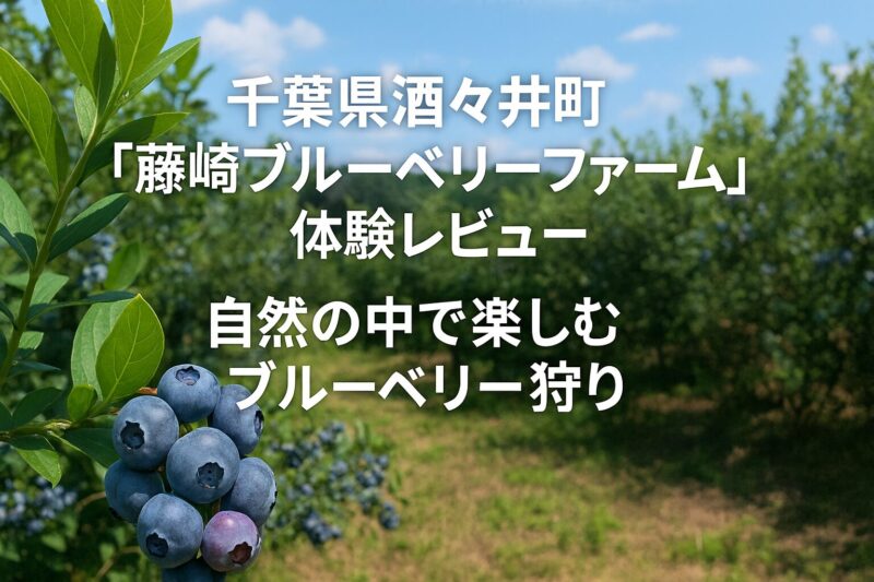 酒々井藤崎ブルーベリーファームのアイキャッチ画像